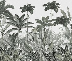 Papier peint panoramique jungle tree - Muralconcept