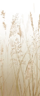 Papier peint toilette fleur des champs de blé beige - Muralconcept