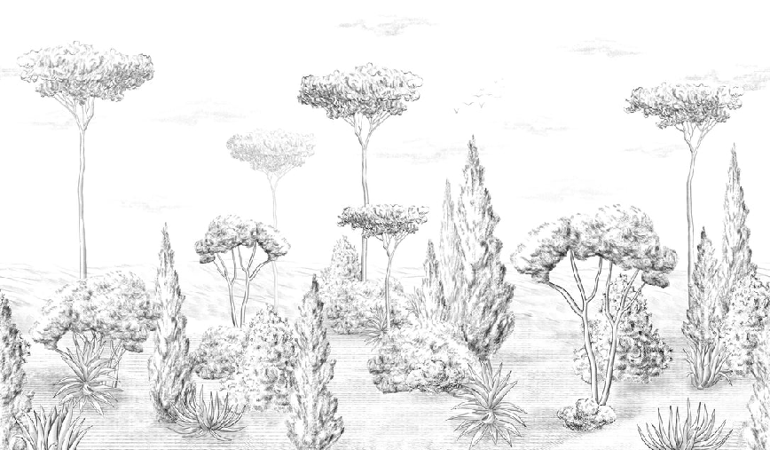 Panoramic antique forest wallpaper
