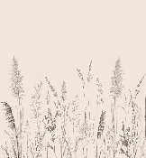 Papier peint panoramique prairie sauvage - Muralconcept