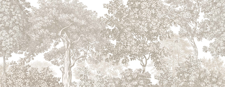 Papier peint paysage forêt gravure beige - Muralconcept