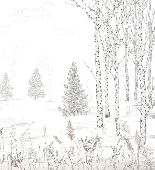 Papier peint forêt noir et blanc – Douceur des Bois, XXL, tendance