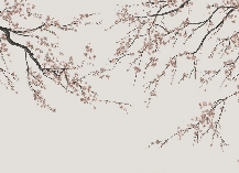Papier peint panoramique Sakura beige, XXL, tendance