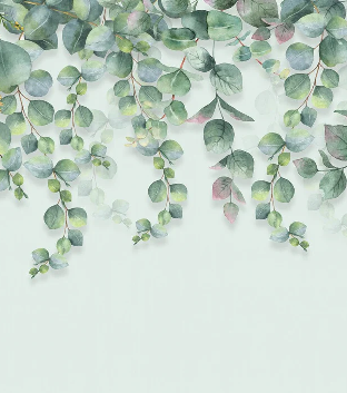 Papier peint nature plante Eucalyptus
