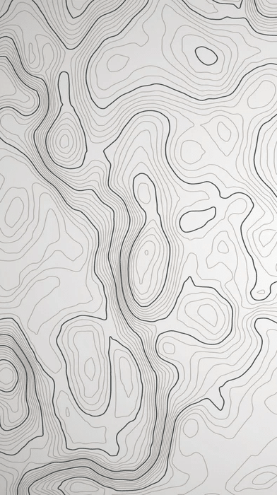 Papier peint ligne topographique - Noir et blanc - Muralconcept
