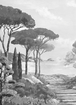 Black and white wallpaper featuring a stroll through the calanques