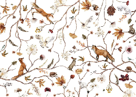 Children's forest adventure wallpaper