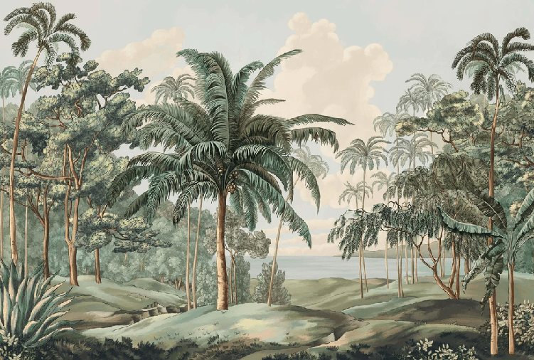Papier peint paysage Célèbes