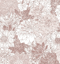Papier peint fleur Dahlia - Muralconcept
