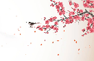 Papier peint harmonie zen sakura