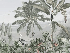 Papier peint mirage tropical - Muralconcept