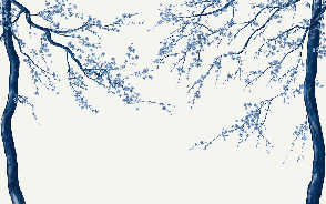 Papier peint panoramique fleur Sakura blanc - Muralconcept