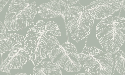 Papier peint feuille monstera sauge