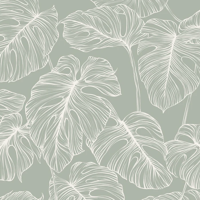 Papier peint feuille monstera sauge