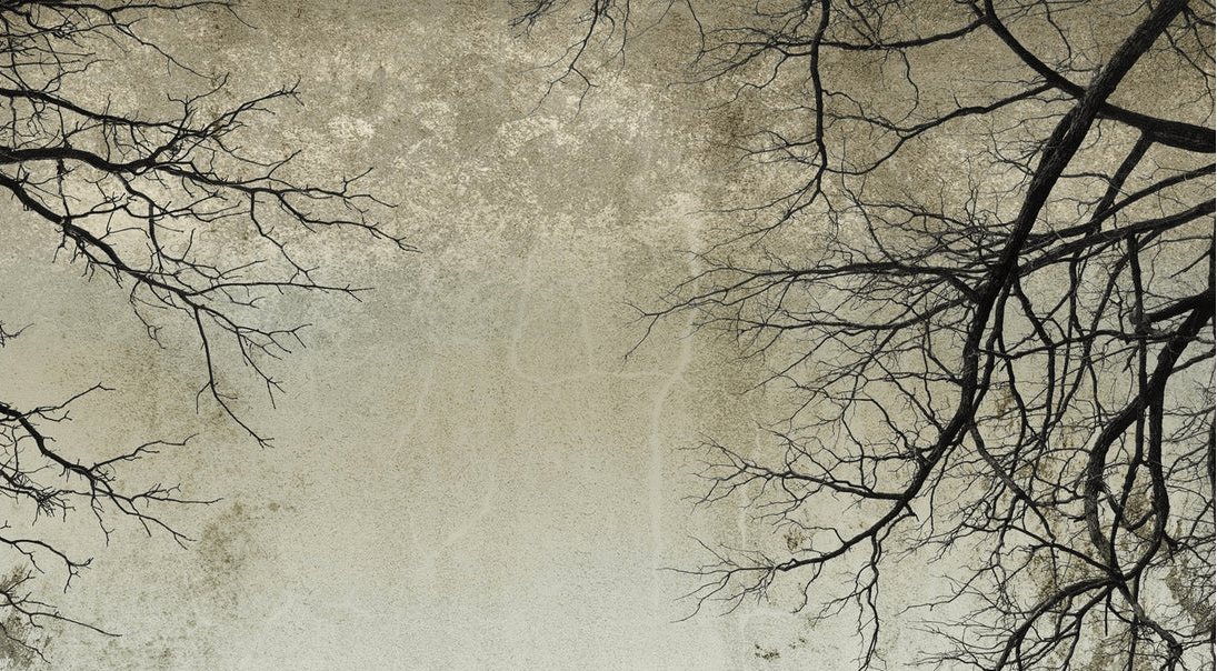 Papier peint Forêt Enchantée - Muralconcept