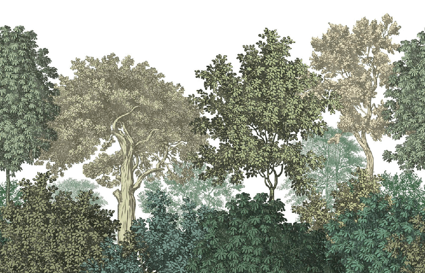 Papier peint paysage forêt gravure - Muralconcept