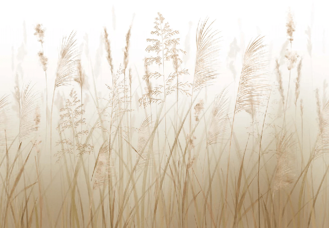 Papier peint fleur des champs de blé, XXL, tendance