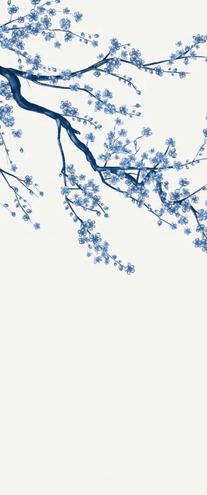 Papier peint panoramique fleur Sakura blanc - Muralconcept