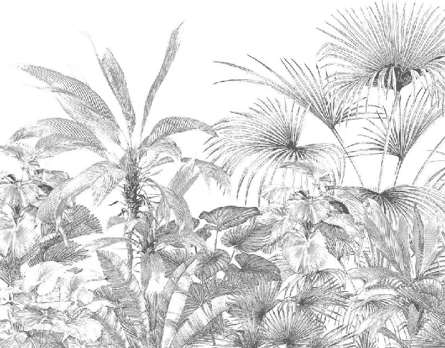 Papier peint tropical gravure monochrome - Muralconcept