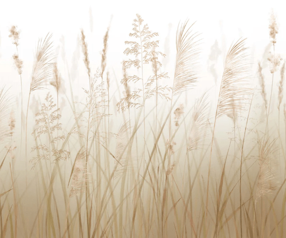 Papier peint fleur des champs de blé - Muralconcept