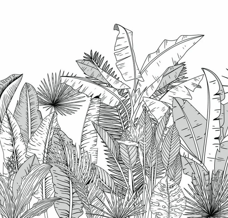 Papier peint panoramique noir et blanc botanic leaf - Muralconcept