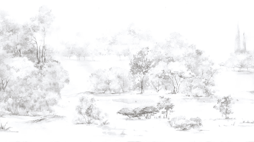 Papier peint forêt de pin aquarelle - Muralconcept