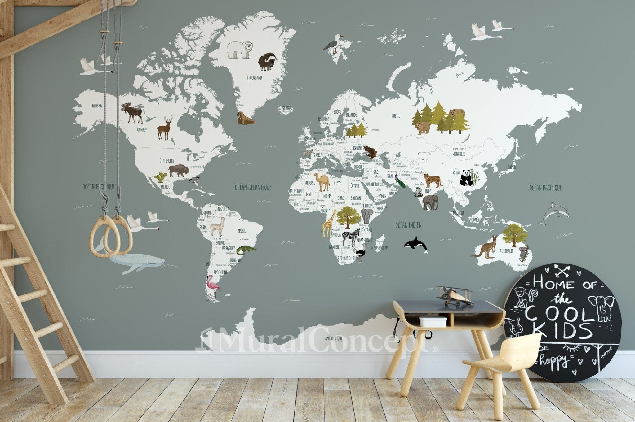 Papier peint Carte du monde en Francais enfant gris - Muralconcept