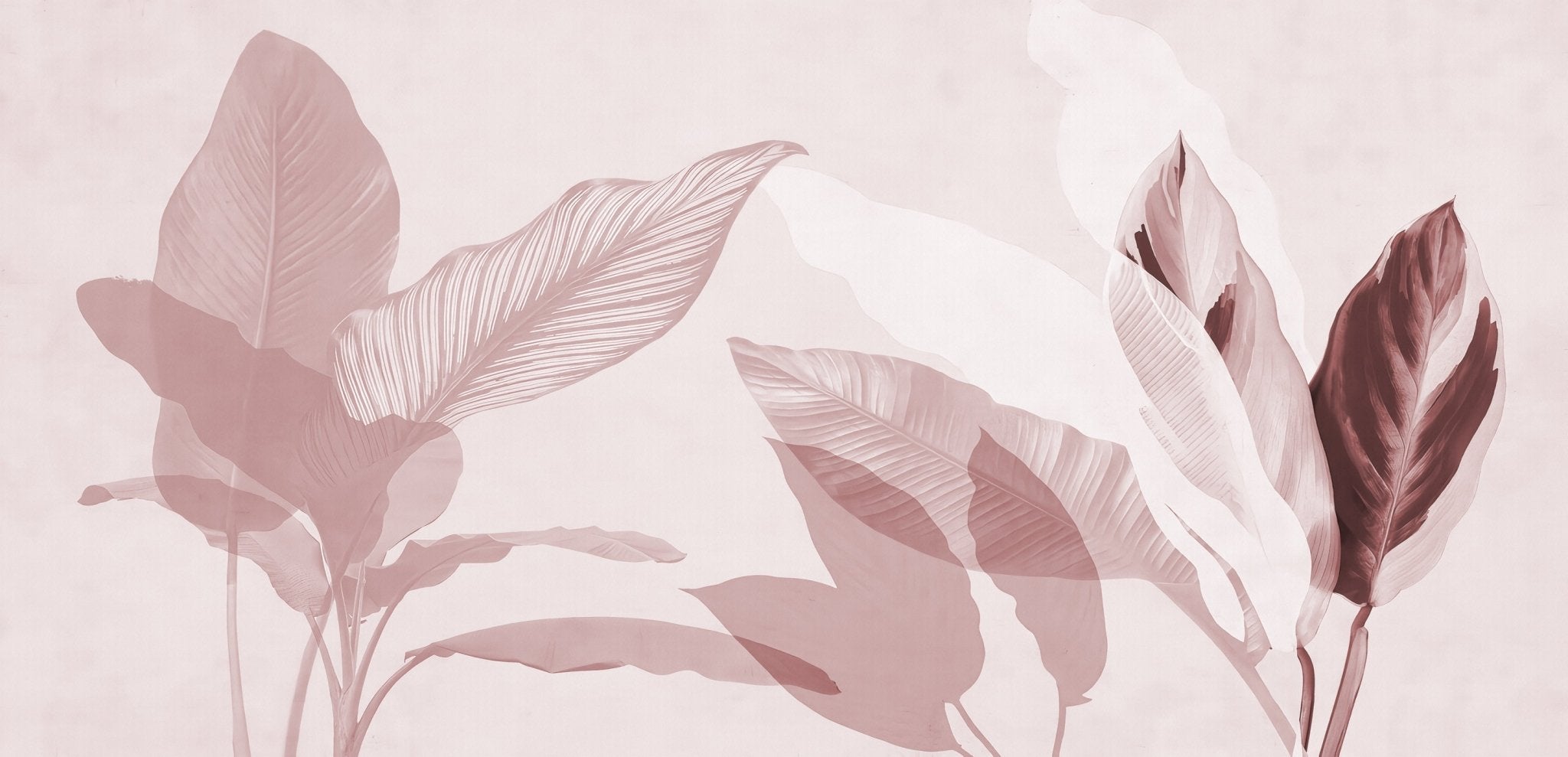 Papier peint feuillage moderne bordeau, XXL, tendance