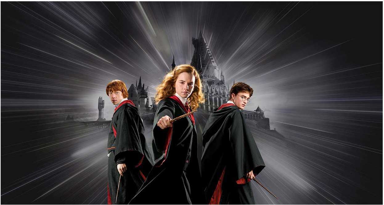 Papier peint harry potter au meilleur prix | Leroy Merlin Papier peint harry potter au meilleur prix | Leroy Merlin