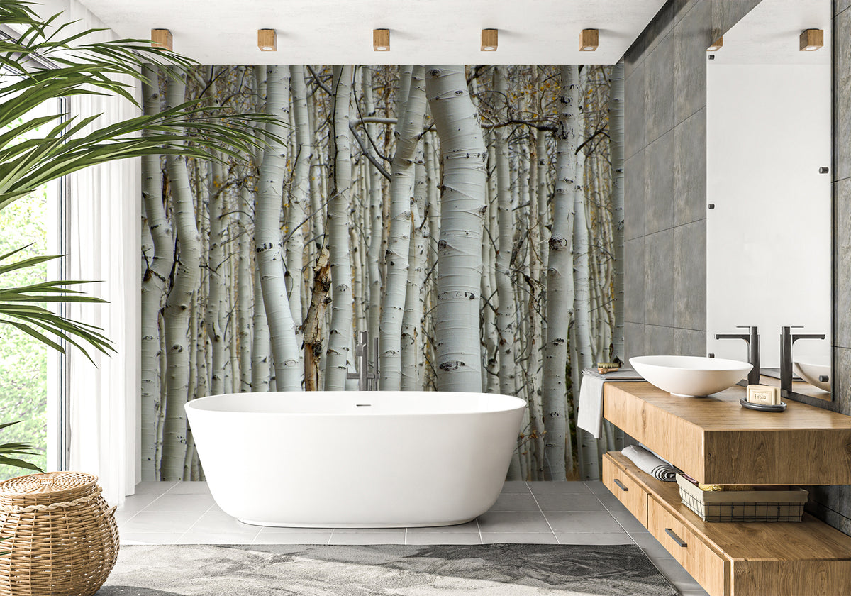 Birch forest bathroom wallpaper