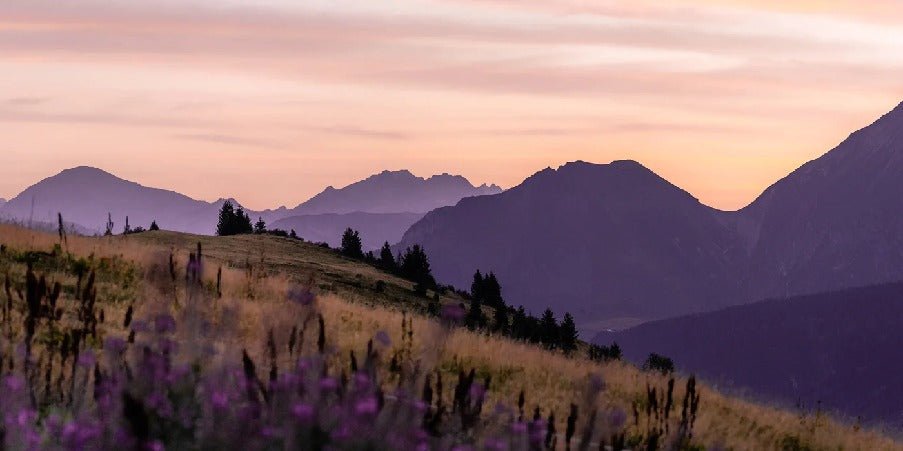 Papier peint restaurant massif du Giffre, mural concept, tendance