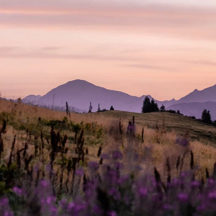 Papier peint restaurant massif du Giffre, mural concept, tendance