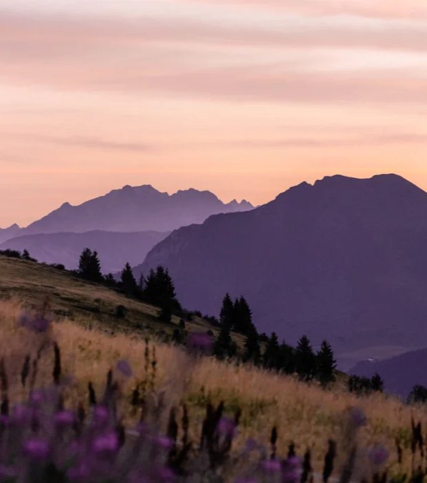 Papier peint restaurant massif du Giffre, mural concept, tendance