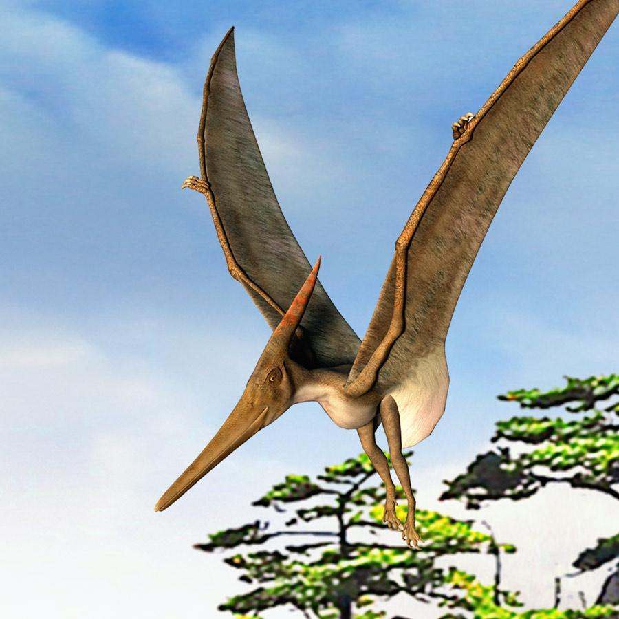 Papier peint Dinosaures 3D - papier peint sur mesure francais - muralconcept