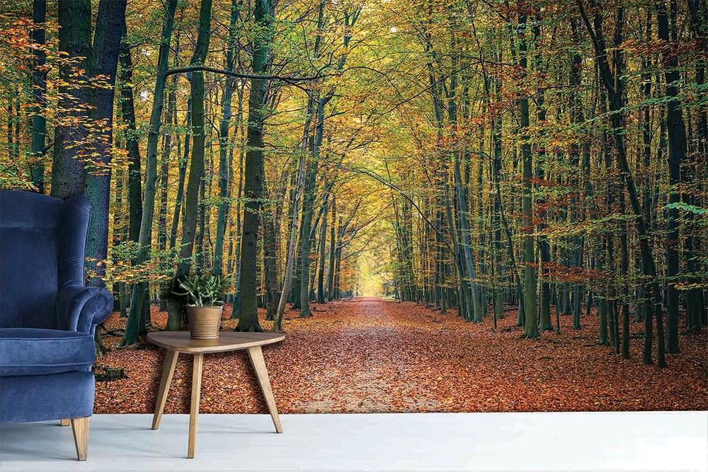 Panoramic Vercors forest wallpaper