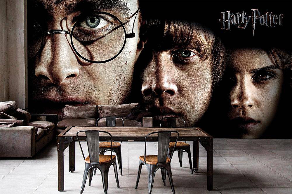 Papier peint panoramique Harry Potter héros